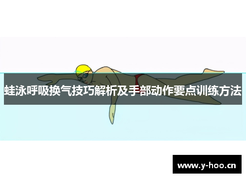 蛙泳呼吸换气技巧解析及手部动作要点训练方法