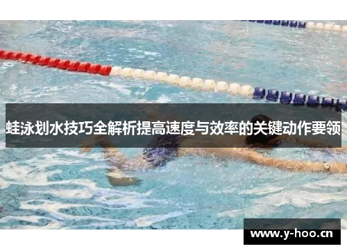 蛙泳划水技巧全解析提高速度与效率的关键动作要领
